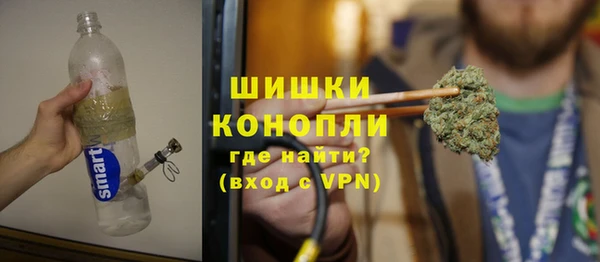 сатива Великий Новгород