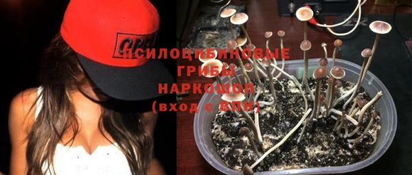 ECSTASY Красноперекопск