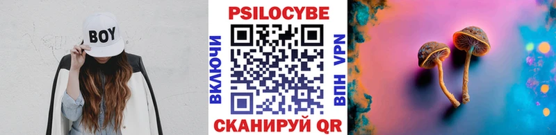 Псилоцибиновые грибы мицелий  купить   ОМГ ОМГ ссылки  Лахденпохья 